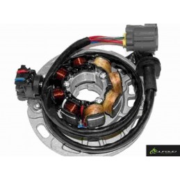 Stator Kawasaki KX 250