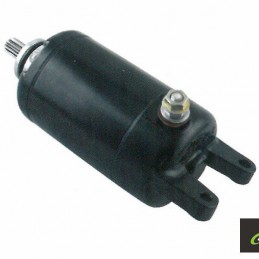 Motor Arranque Kawasaki 250...