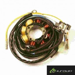 Stator Honda CRF R 250