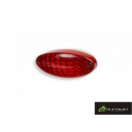 Tulipa Piloto Daelim Message Roja