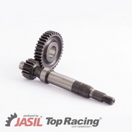 Desarrollo ZIP SP Top...