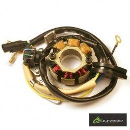 Stator Honda CR R 250 (Luces)